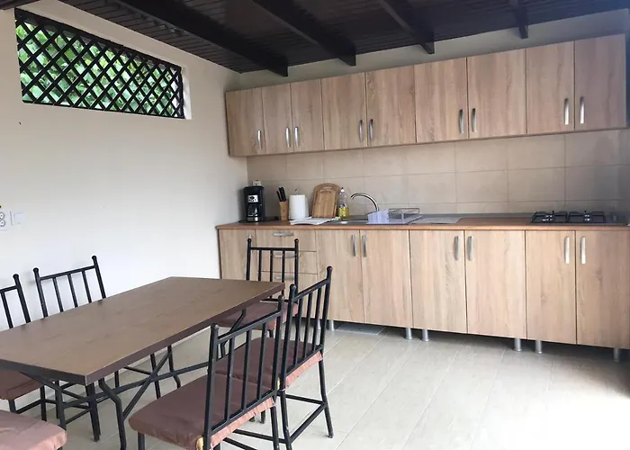 Casa Adina David בית הארחה Două Mai